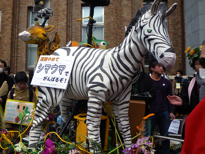 0311demo1.jpg