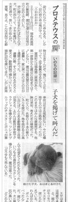 20130326asahi2.jpg