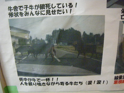 IMGP0530.JPG
