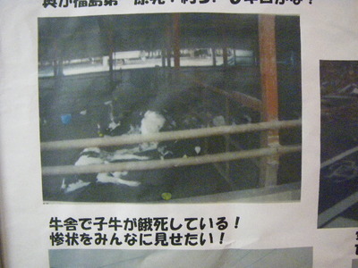 IMGP0531.JPG