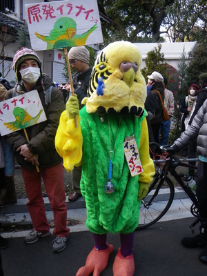 IMGP2807.JPG