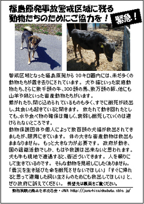 help20km.jpg