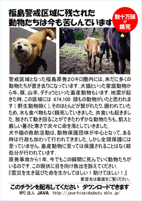 help20kmA-120310.jpg