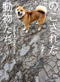 nokosaretadoubututachi.jpg