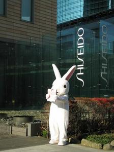 091126shiseido.jpg