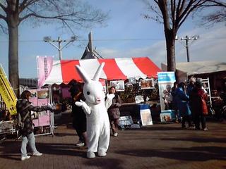 120128earthgarden.jpg
